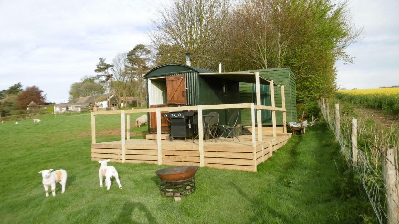 Hotel Shepherd'S Hut Blandford Forum Esterno foto